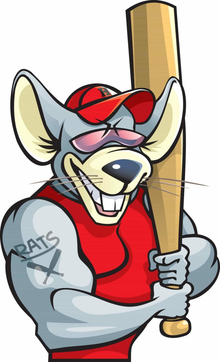 If You Build It, They Will Come…”They” Meaning Rats that is! – Earthkind