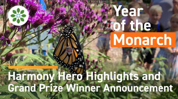 Harmony Hero Award Winner