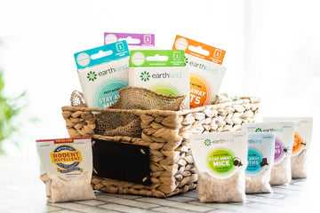 plant-based pest repellents
