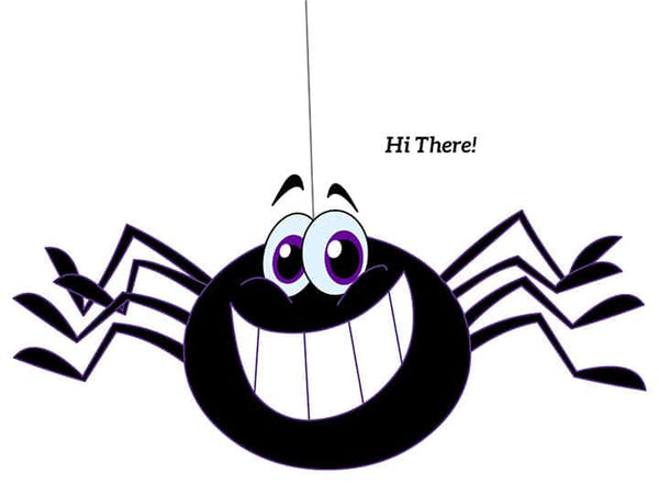 Afraid of Spiders? Let's talk about it!