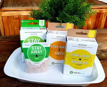 Stay Away® Review:  Mommy’s Block Party Summer Fun Guide