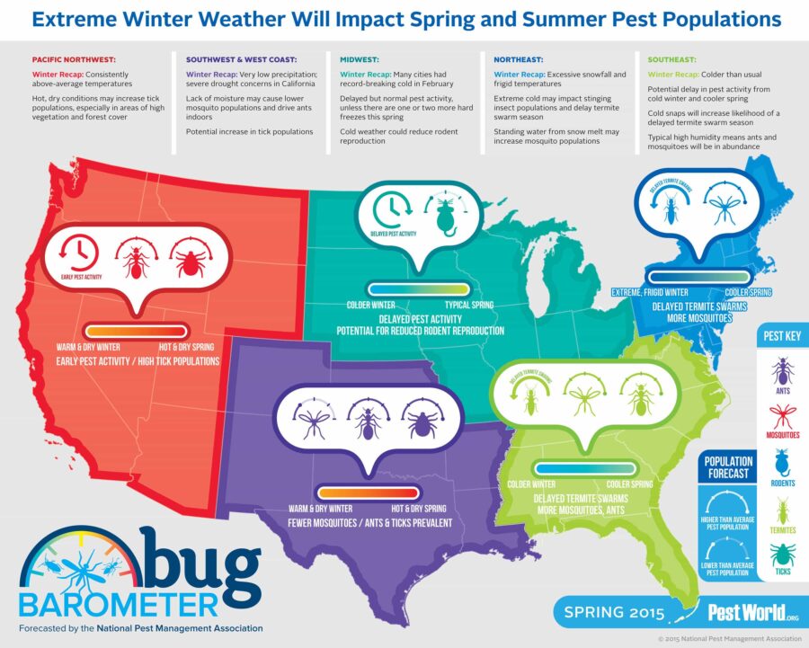 Insect Alert: What’s going to be bugging you this Spring? – Earthkind
