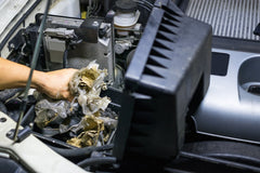 How Do Mice Get Into Cars? Signs, Causes, and How to Keep Them Out