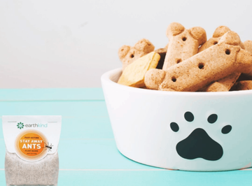 18 Problem-Solving Products on Amazon That Dog Parents Can’t Live Without