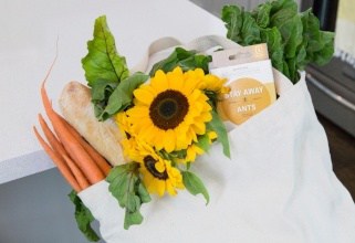 Blogger Review:  Stay Away® Ants Makes Lady and the Blog’s List of Summer Tips