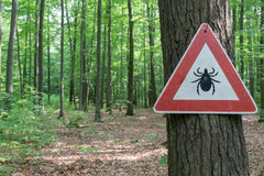 Summer's Ending, But Tick Season Isn't — Here's What to Know