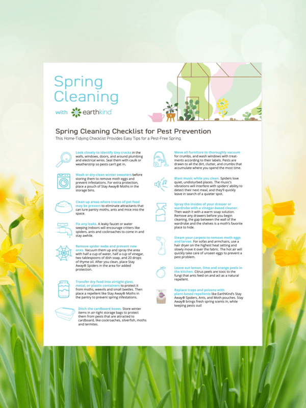 Natural Spring Cleaning Tips for Keeping Pests Out