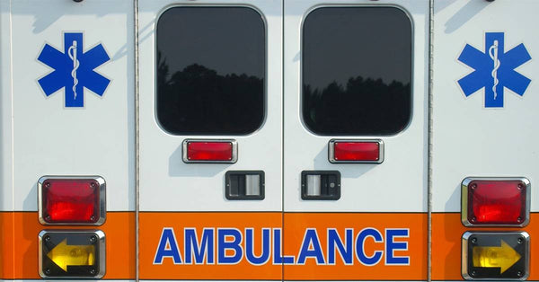 What Do Pest Control Companies Use In Your Home & How to Find the Best Company