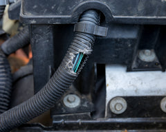 Why Do Rodents Chew Car Wiring? What Actually Stops It