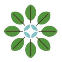 Innovative Pest Control Solutions for Spiders, Ants, and Cockroaches in the Home and on the Farm