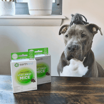 Pet Poison Prevention Month: Pouch Up and Put your Pet’s Safety First