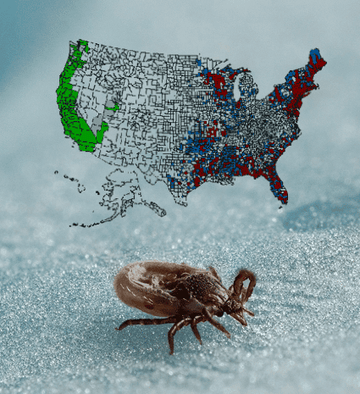 The Uptick on Ticks – Pest Control Expert Speaks out on Tick Crisis Sweeping the Nation