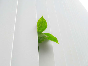 6 Ways Women Entrepreneurs Can Go Green With Their Companies