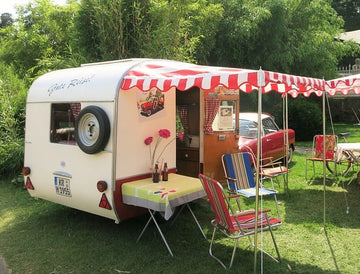 What You Should Know About RV Pest Prevention
