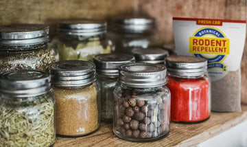 Fresh Cab Rodent Repellent: 10 Reasons Why You Should Use It