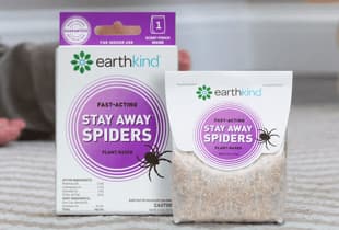 How to Get Rid of Spiders