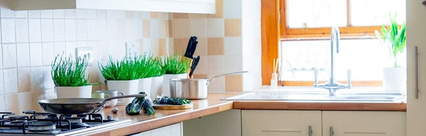 Pest Control That Saves You Money