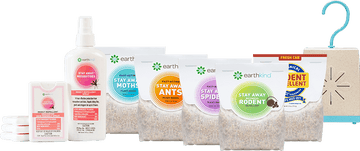 The Ultimate Clean House List: 28 Of The Best Items You Can’t Live Without