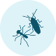 Ants & Cockroaches