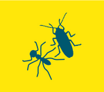 Ant & Cockroach Deterrent — 4-pack