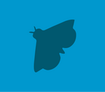 Moth Deterrent — 4-pack