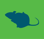 Rodent Repellent — 4-pack