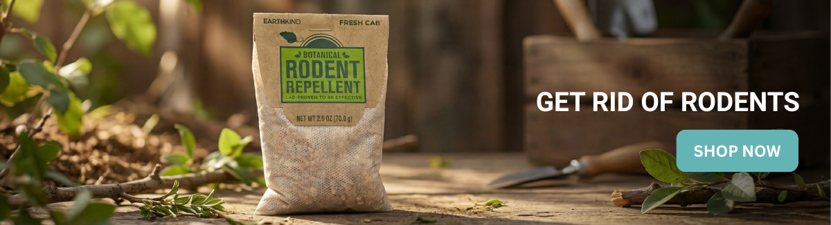 does tobacco repel mice How to Repel Mice does tobacco repel mice How to Repel Mice