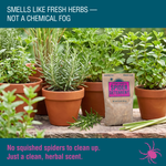 Fresh Cab® Plant-Based Spider Deterrent