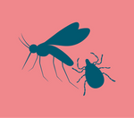 Stay Away Mosquitoes