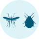 Mosquitoes & Ticks