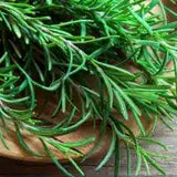 Rosemary Oil