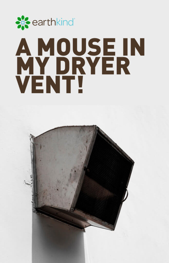 A Mouse in my Dryer Vent! Earthkind