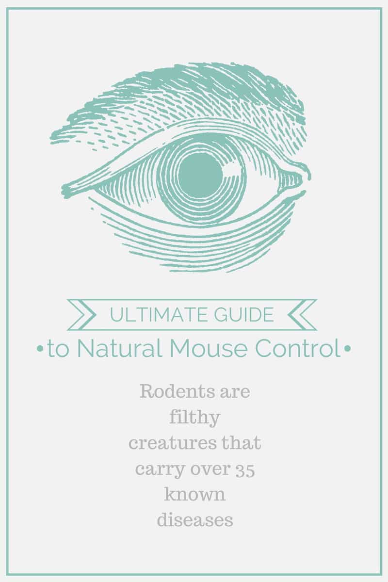 Ultimate_Guide_to_Natural_Mouse_Control