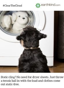 dog watching clothes dryer