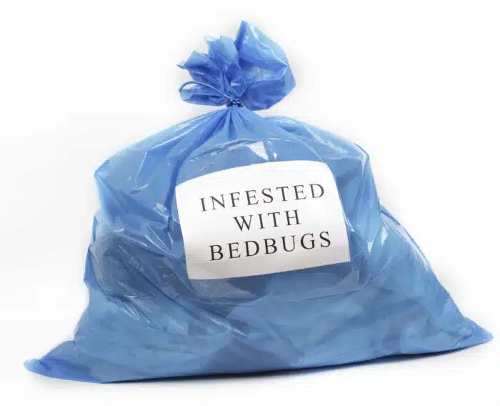 InfestedwithBedbugs