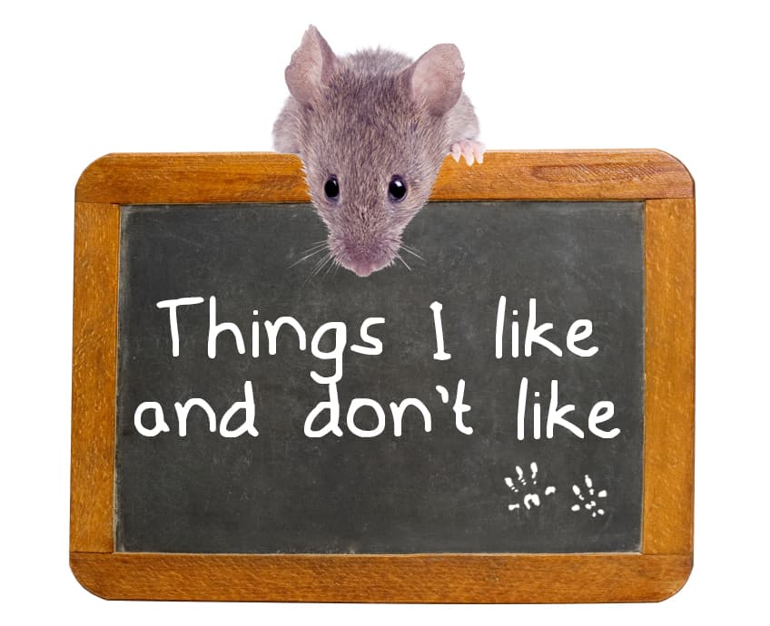 Getting to Know the Mouse in Your House Earthkind