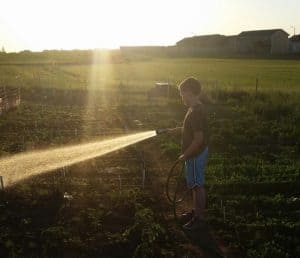 Young boy watering a garden with a spray nozzle