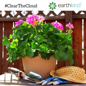Flowers in a flower pot surrounded by gardening tools