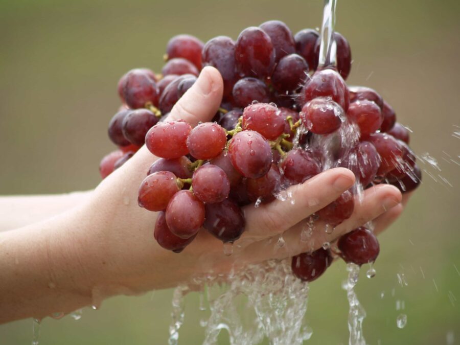 hands_grapes_washing