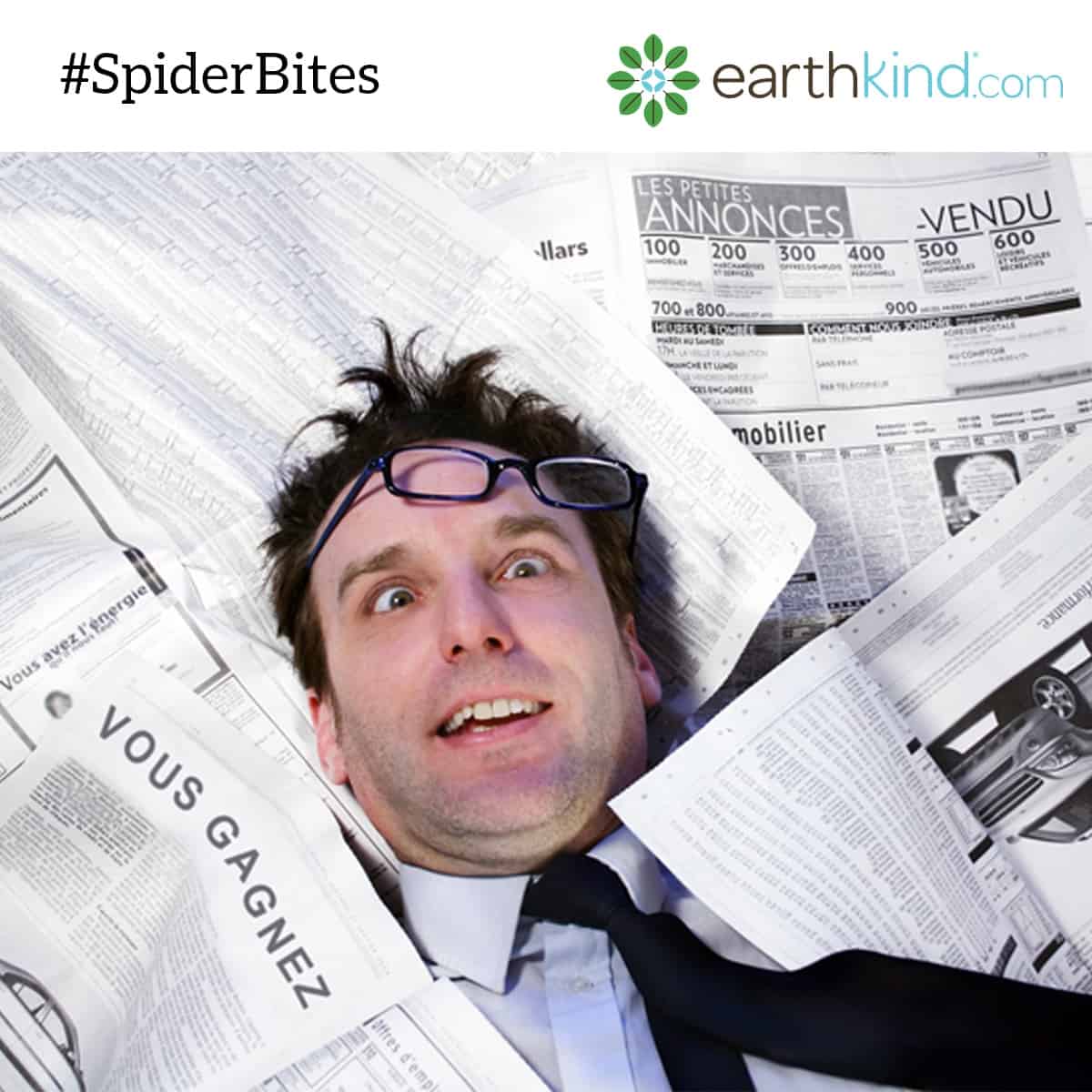 Get Rid of Spiders from the House. Sneaky Tips That Keep Spiders Out. Earthkind