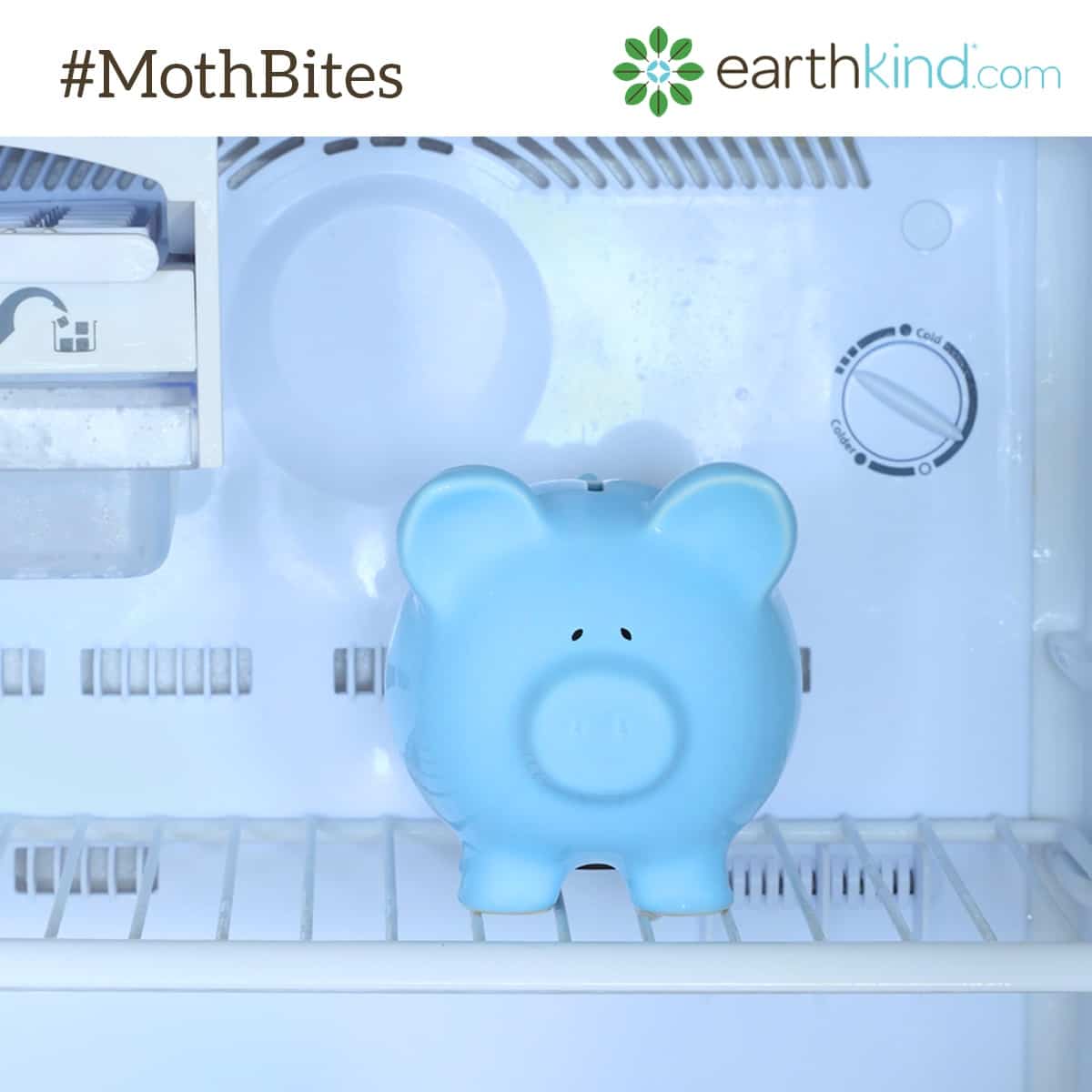 8 Simple Solutions To Keep Moths Away From Your Wools and Silks