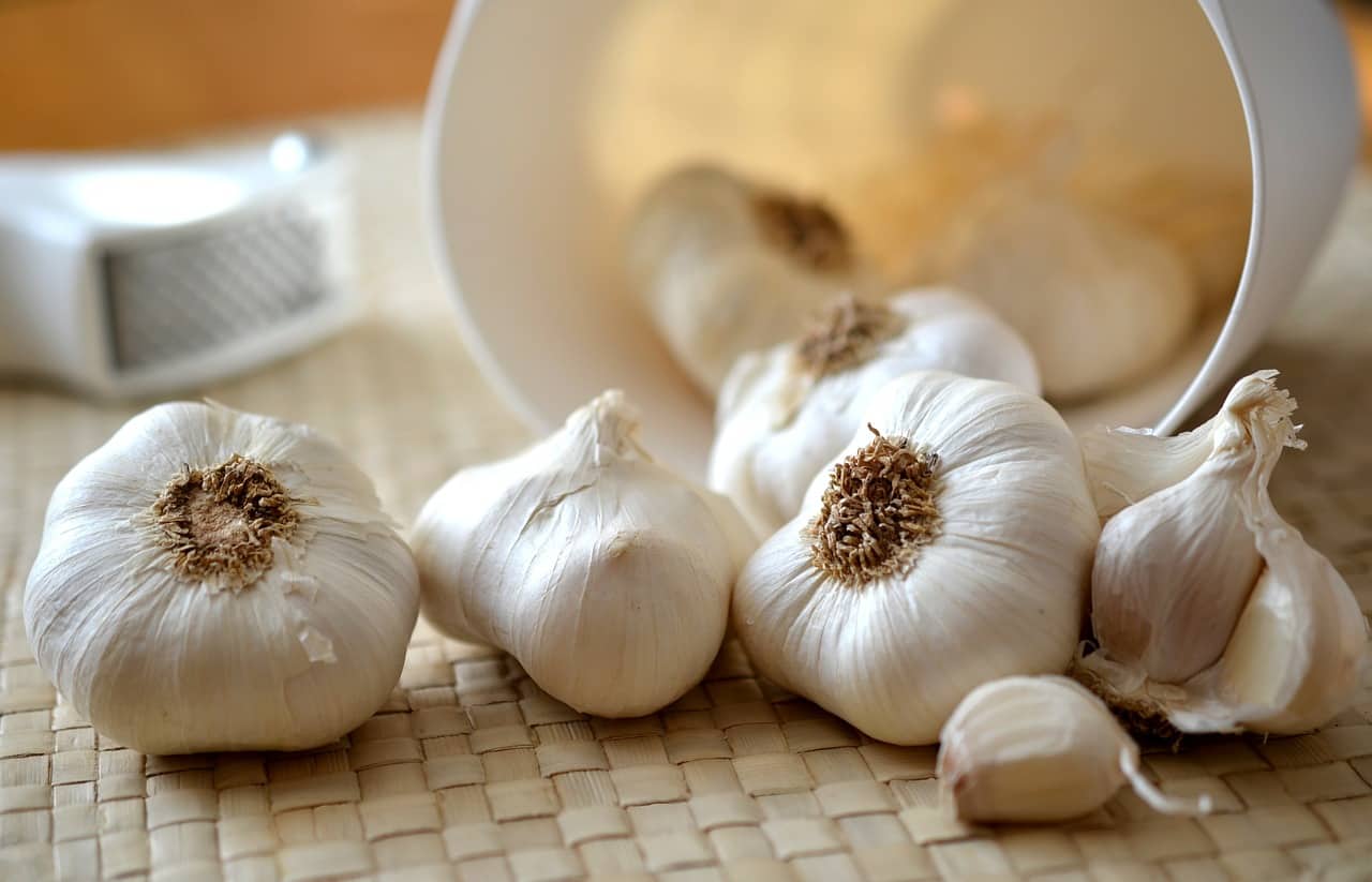 garlic garlic