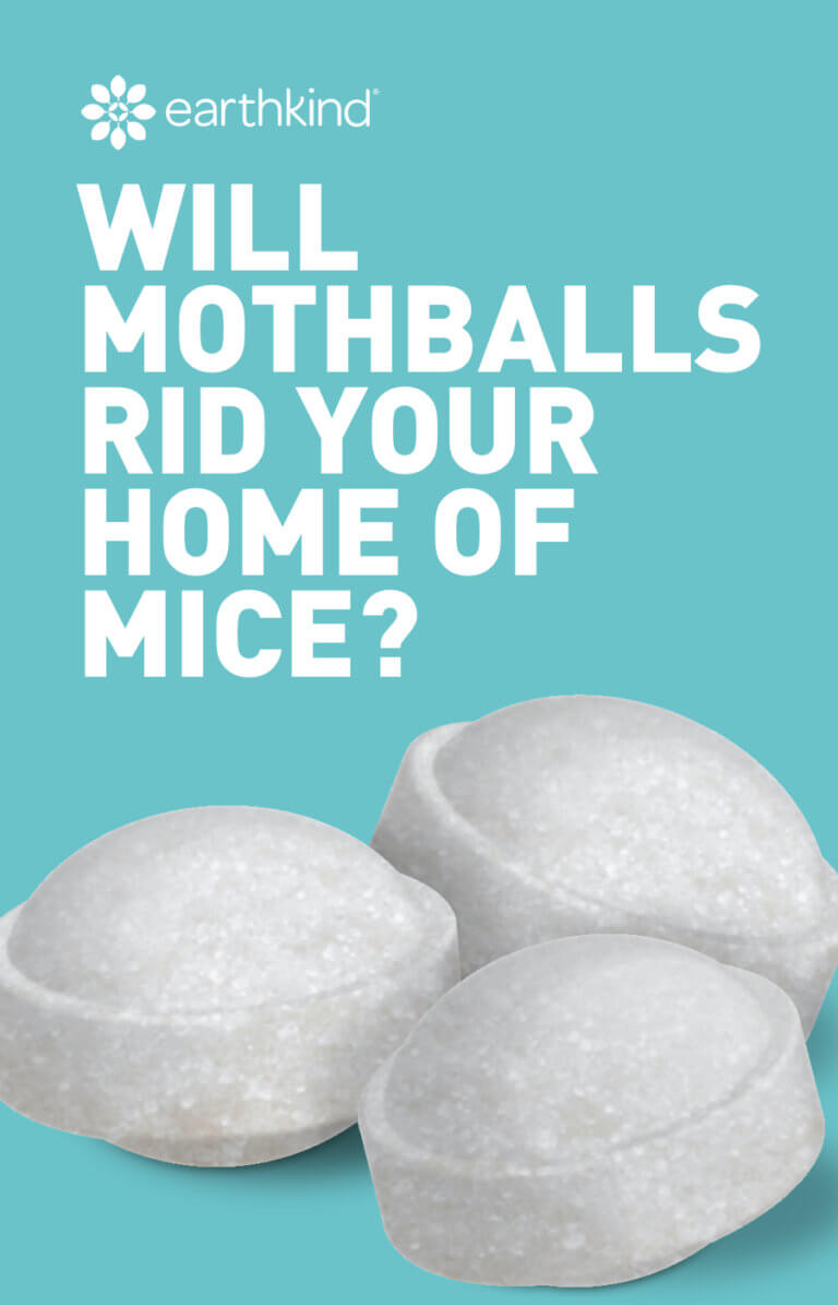 Do Mothballs Repel Mice and Keep Them Away? EarthKind