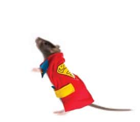 super_mouse