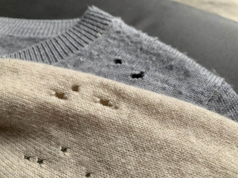 cashmere sweaters with holes and damage caused by moths