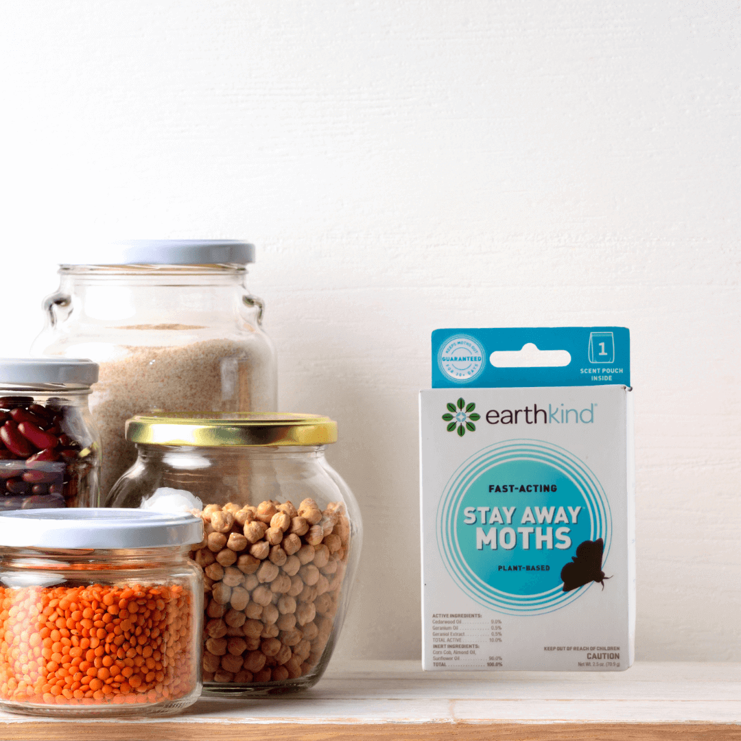 Types of Pantry Pests & How to Get Rid of Them EarthKind