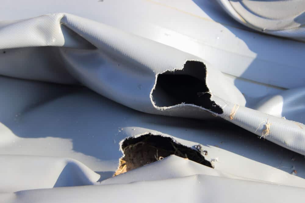 How to Keep Mice Out of Boats in Summer & Winter EarthKind