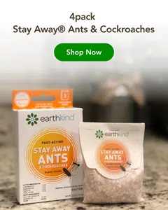4_packAnt_Cockroach