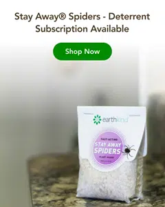 Subscription Spider