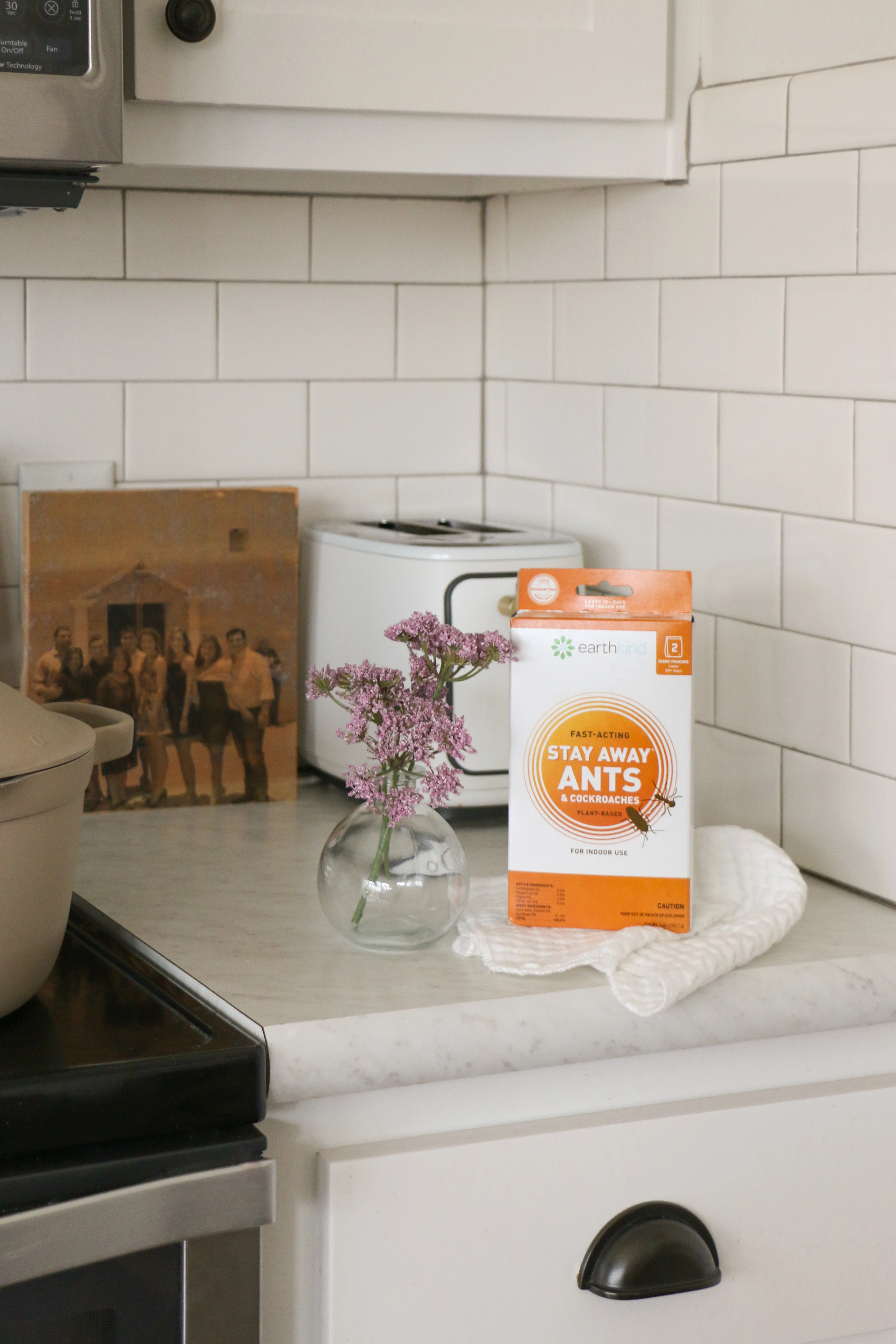 Use Cockroach Repellents and Pest Control Products